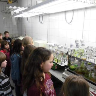 robbenex11 Montessori-Schulzentrum Leipzig - Neuigkeiten Grundschule 2013 - Lasst uns ausfliegen!