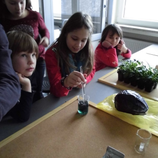 robbenex5 Montessori-Schulzentrum Leipzig - Neuigkeiten Grundschule 2013 - Lasst uns ausfliegen!