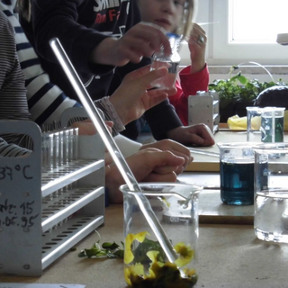 robbenex8 Montessori-Schulzentrum Leipzig - Neuigkeiten Grundschule 2013 - Lasst uns ausfliegen!