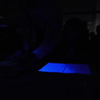 robbenex9 Montessori-Schulzentrum Leipzig - Neuigkeiten Grundschule 2013 - Lasst uns ausfliegen!