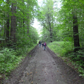 kf2018_schm_14 Montessori-Schulzentrum Leipzig - Neuigkeiten Grundschule - Kurztrip ins Glück