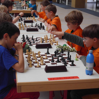 schulschach_4 Montessori-Schulzentrum Leipzig - Neuigkeiten Grundschule 2013 - Pokale, 1. Plätze, Sachsenmeister und mehr!