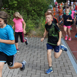 fewo-sl_10 Montessori-Schulzentrum Leipzig - Neuigkeiten Grundschule - Go, Monte, go!