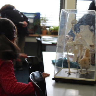 tdot2019_29 Montessori-Schulzentrum Leipzig - Neuigkeiten - (Vormit)Tag der offenen Tür