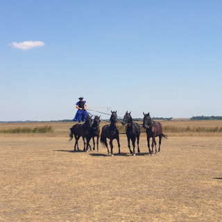 2013-08-16-12-17-43-1 Montessori-Schulzentrum Leipzig - Schülerblog - Magyarország Németország