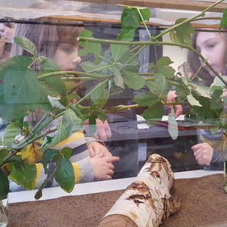 2018-01-13-11-04-01 Montessori-Schulzentrum Leipzig - Neuigkeiten - Volle Hütte...